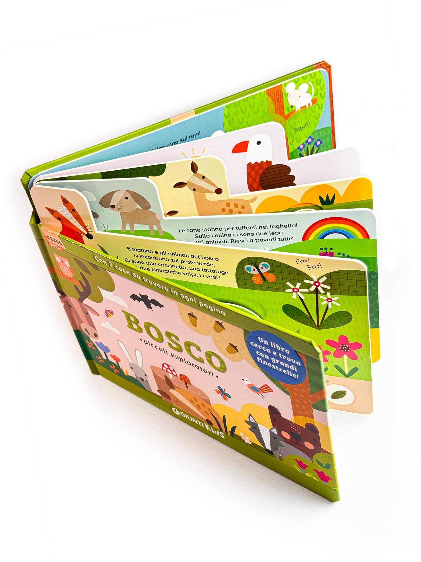 Bosco. Piccoli esploratori