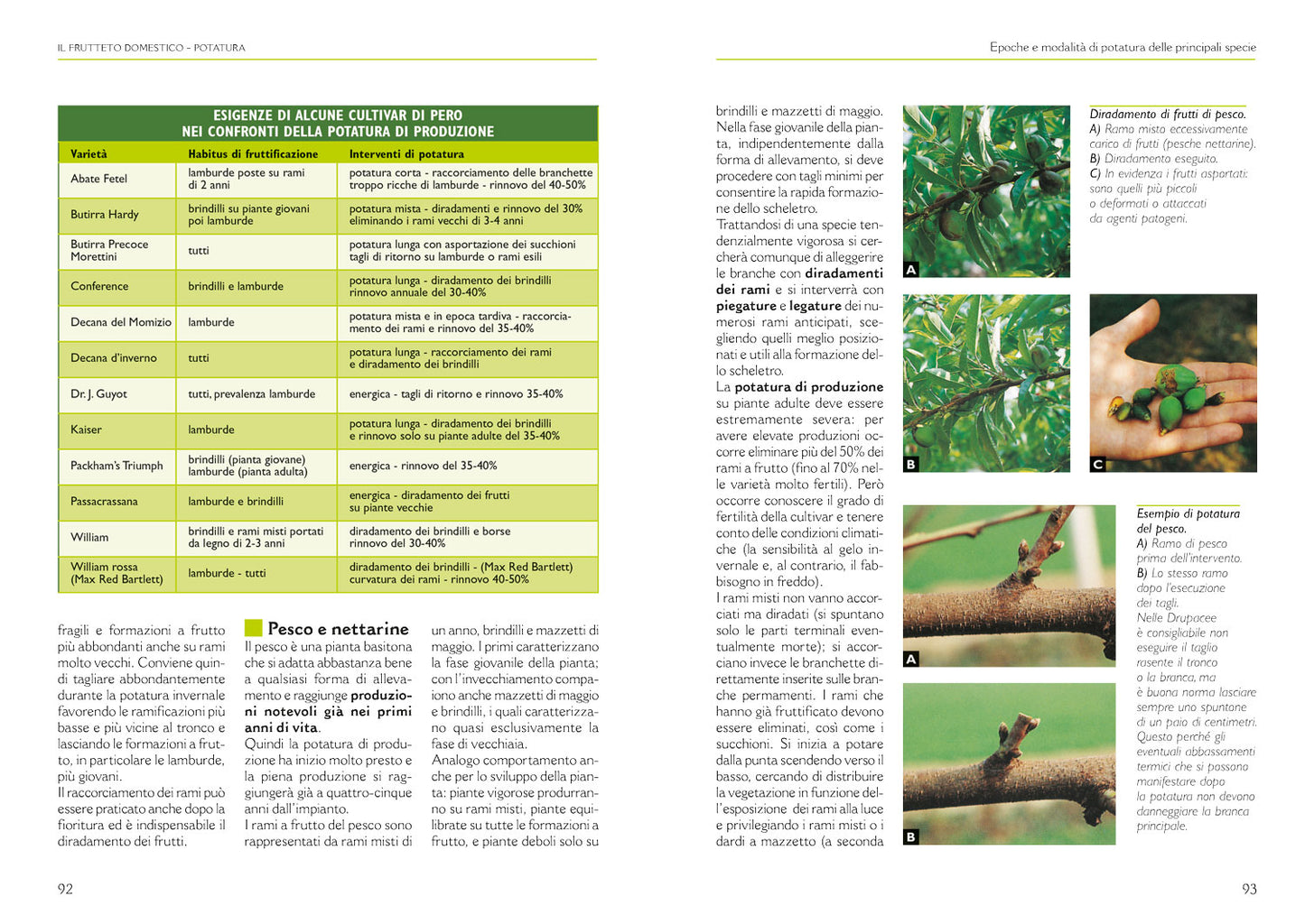 Il grande libro della potatura e degli innesti