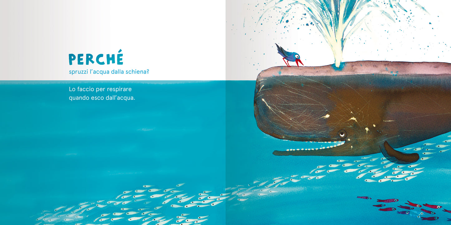 Perché si dice perché?