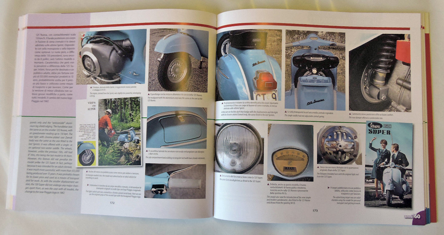 VESPA Guida illustrata all'identificazione/Illustrated guide to the identification . Guida illustrata all'identificazione/Illustrated guide to the identification