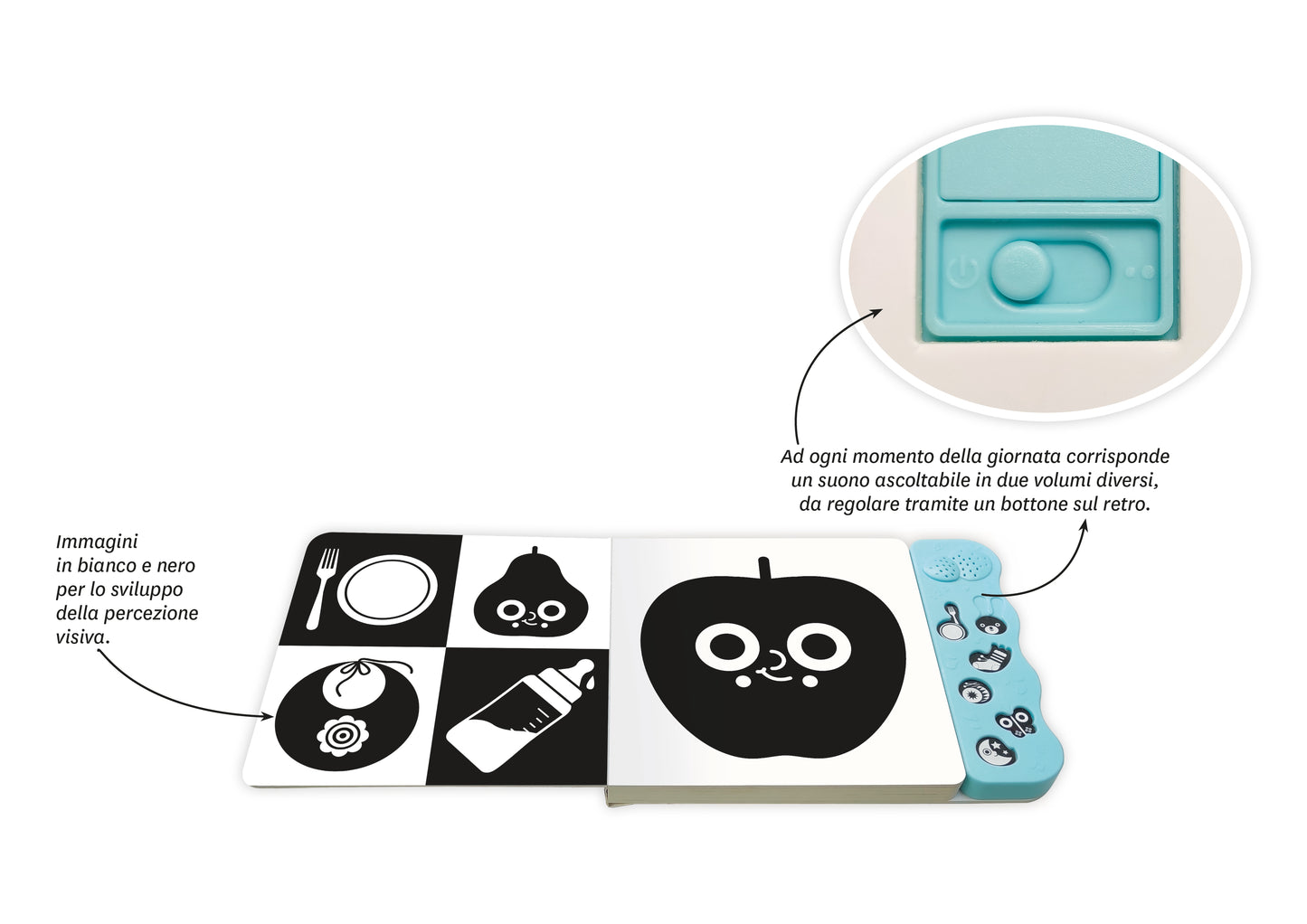 Guardo e ascolto il mondo