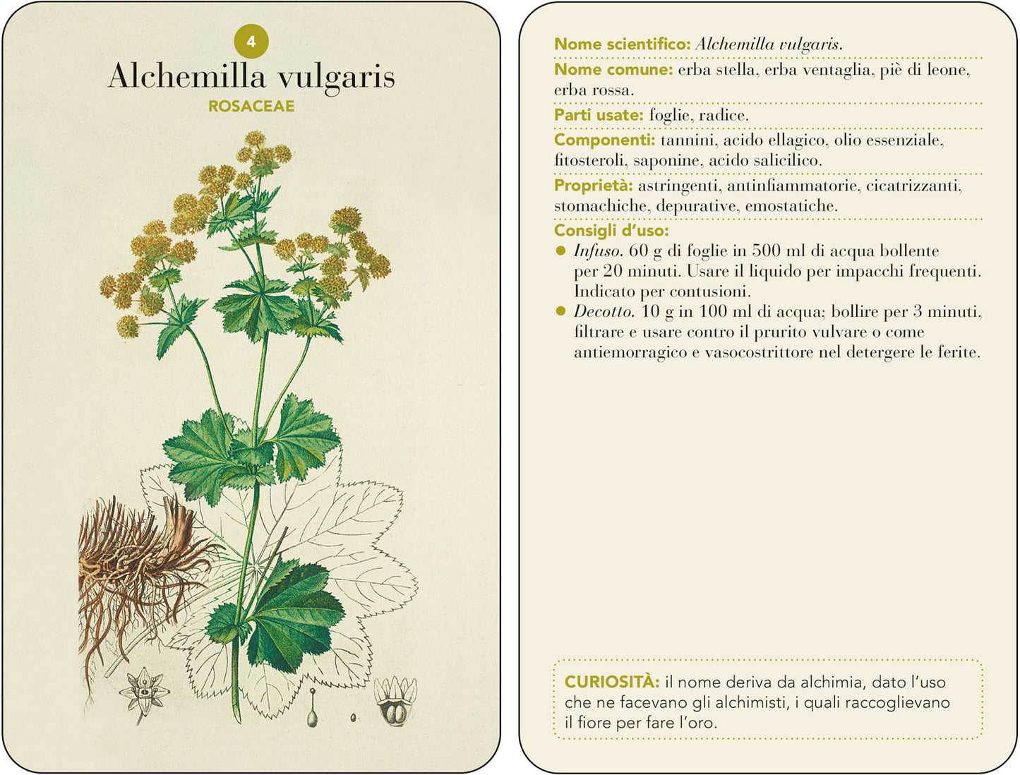 Erbario. 101 Schede per riconoscere le principali erbe curative e di uso alimentare