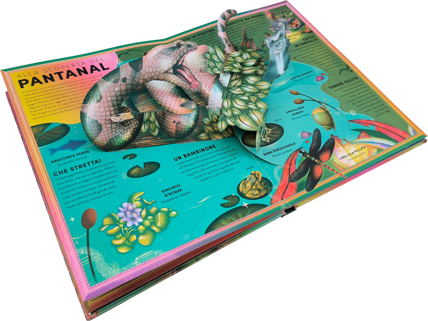 L'incredibile pop-up degli anfibi. e altri animali delle terre umide