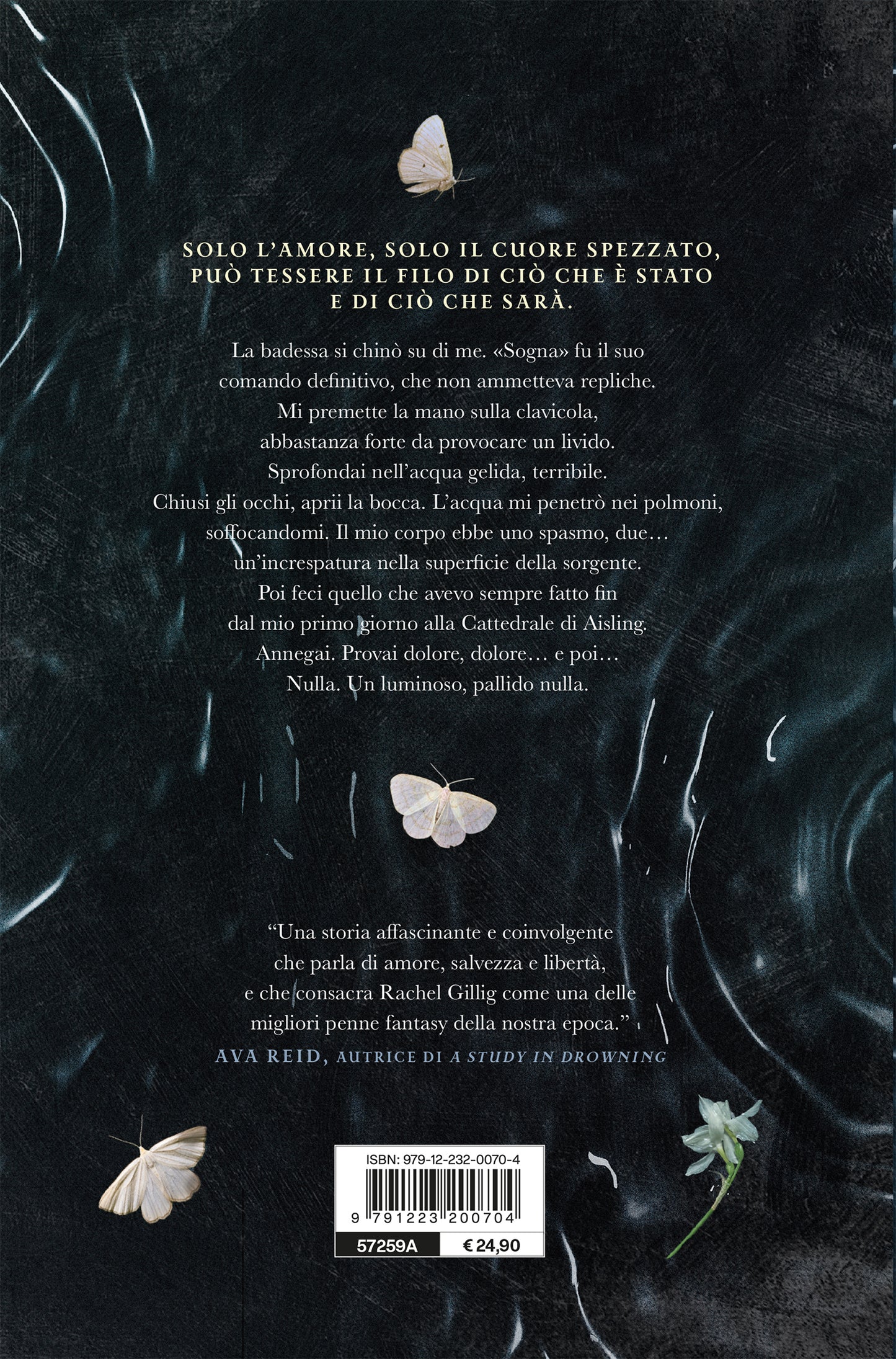 The Knight and the Moth