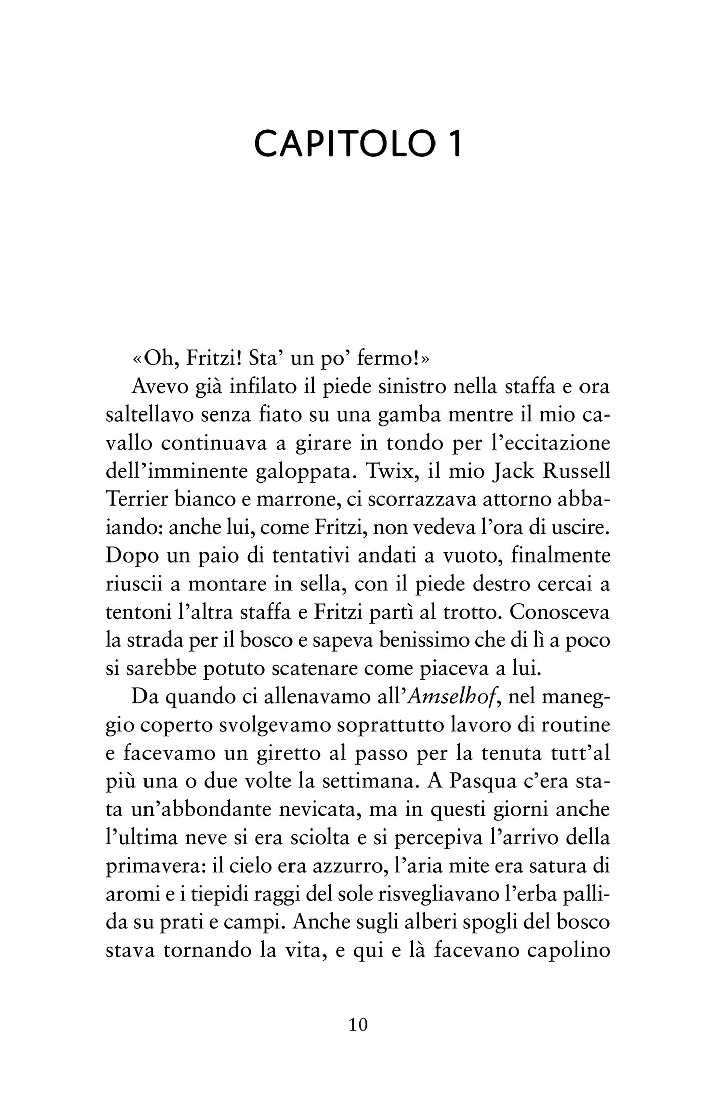 Elena. L'estate della decisione. 2