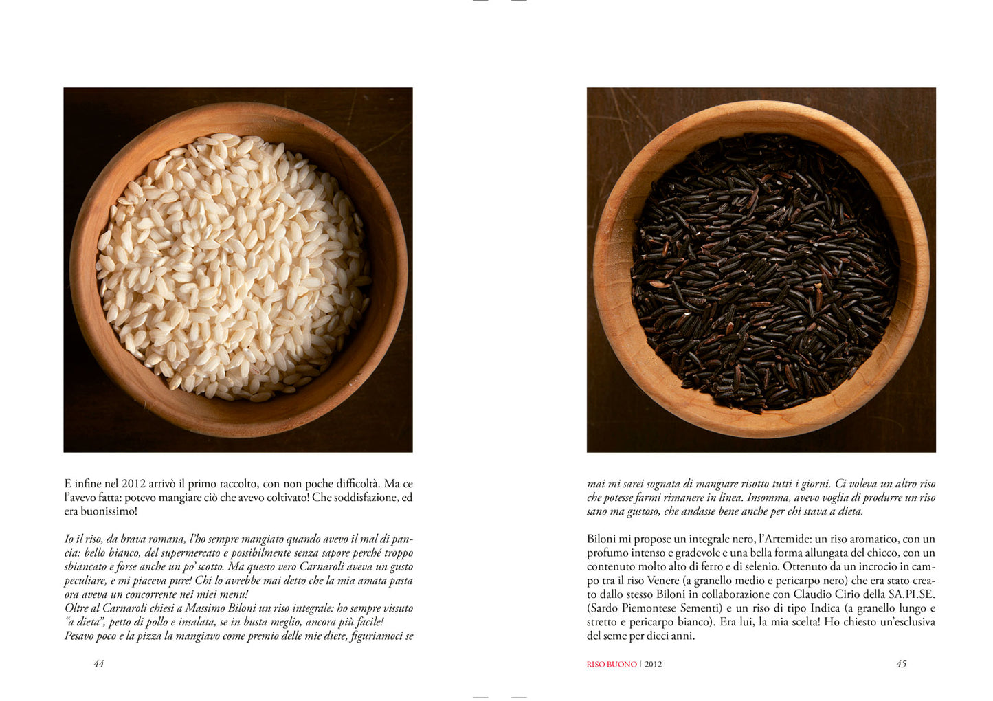 RISO BUONO. Chi non semina non raccoglie