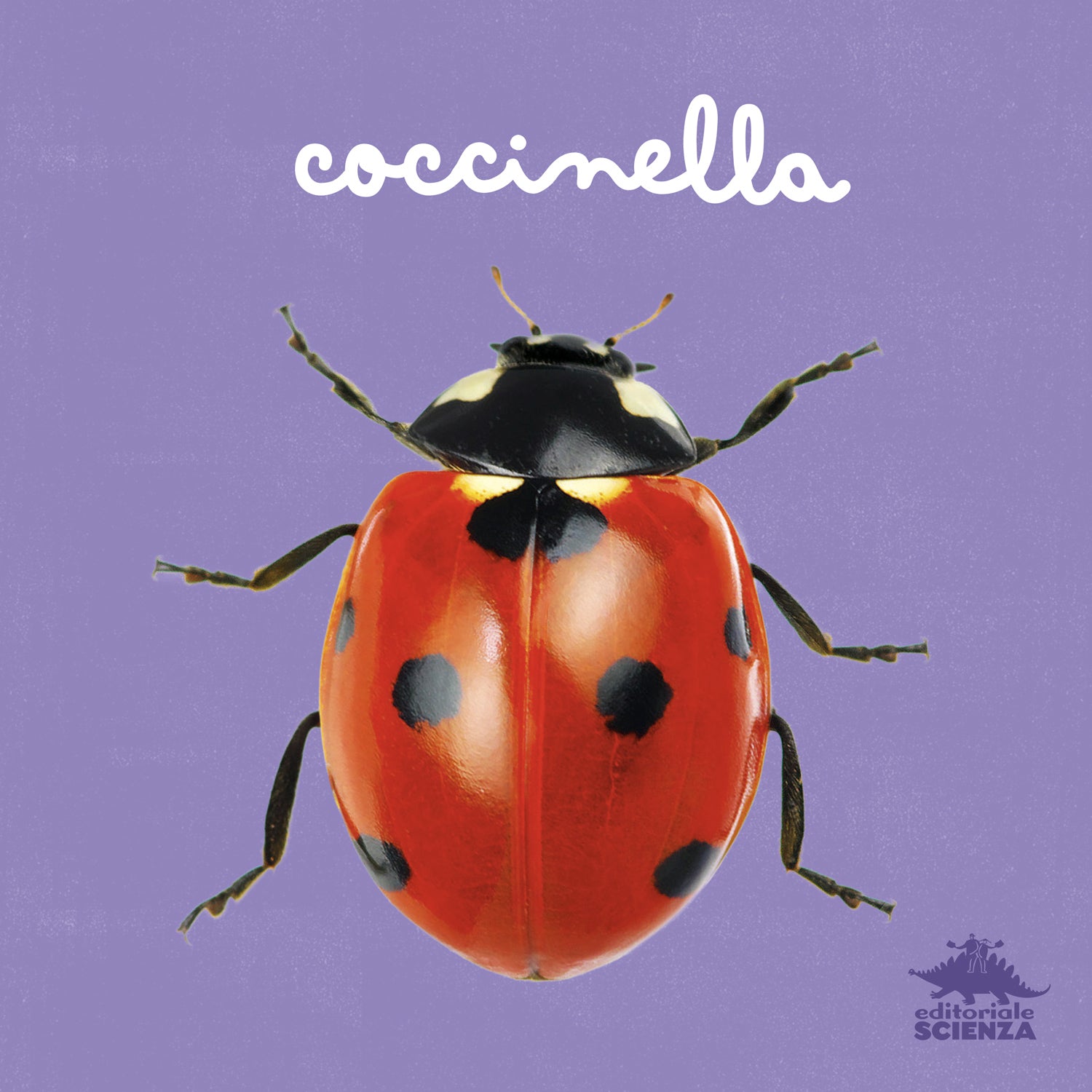 Coccinella