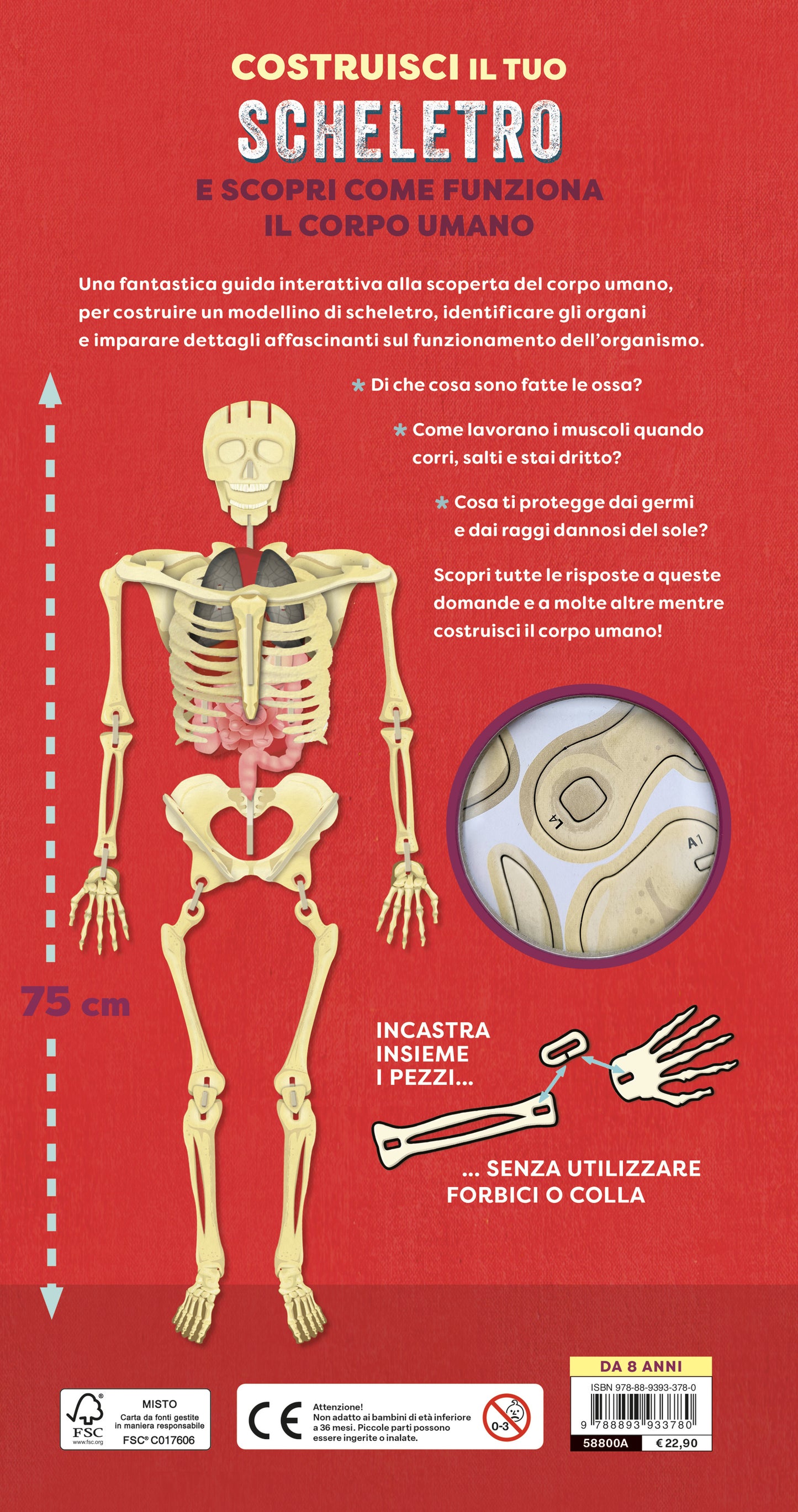 Costruisci il tuo scheletro. e scopri come funziona il corpo umano