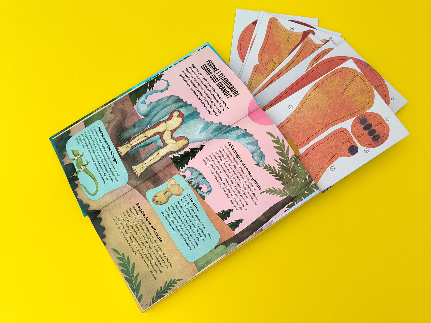 Costruisci il tuo titanosauro. Libro + modellino di 84 cm