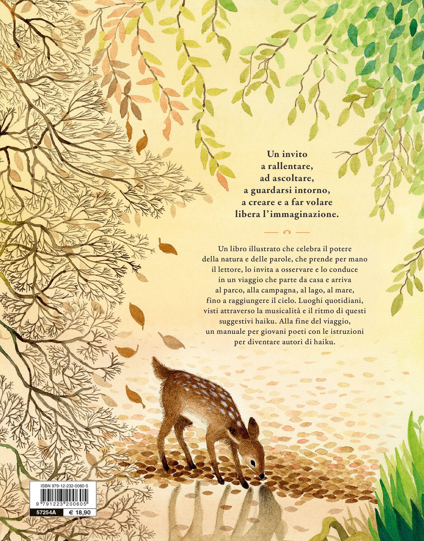 Haiku per esplorare il mondo