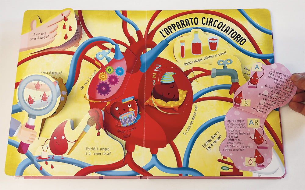 Il corpo umano. Solleva le alette e trova le risposte!