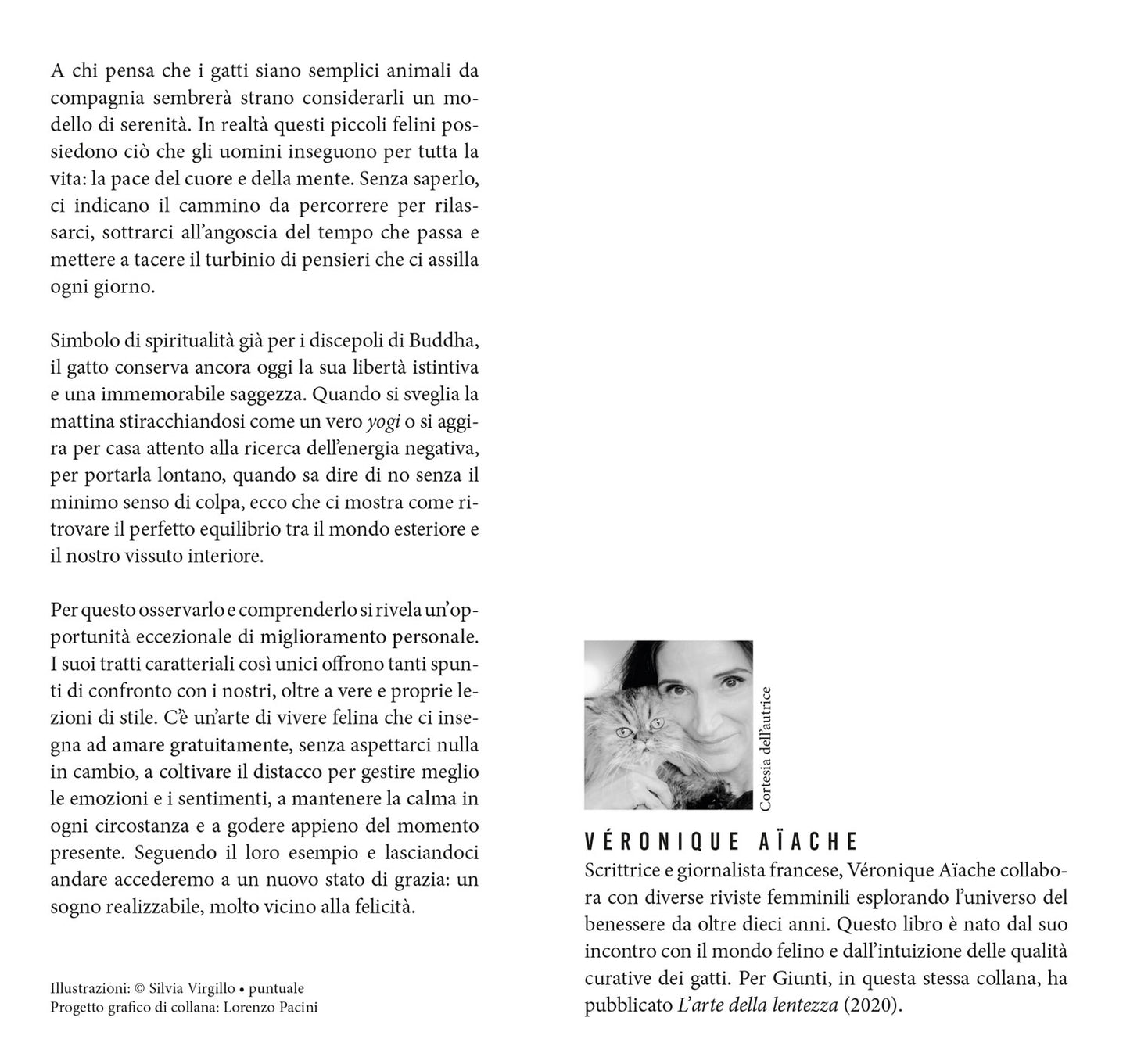 L'imperturbabile placidità del gatto. Imparare la tranquillità dai nostri amici felini