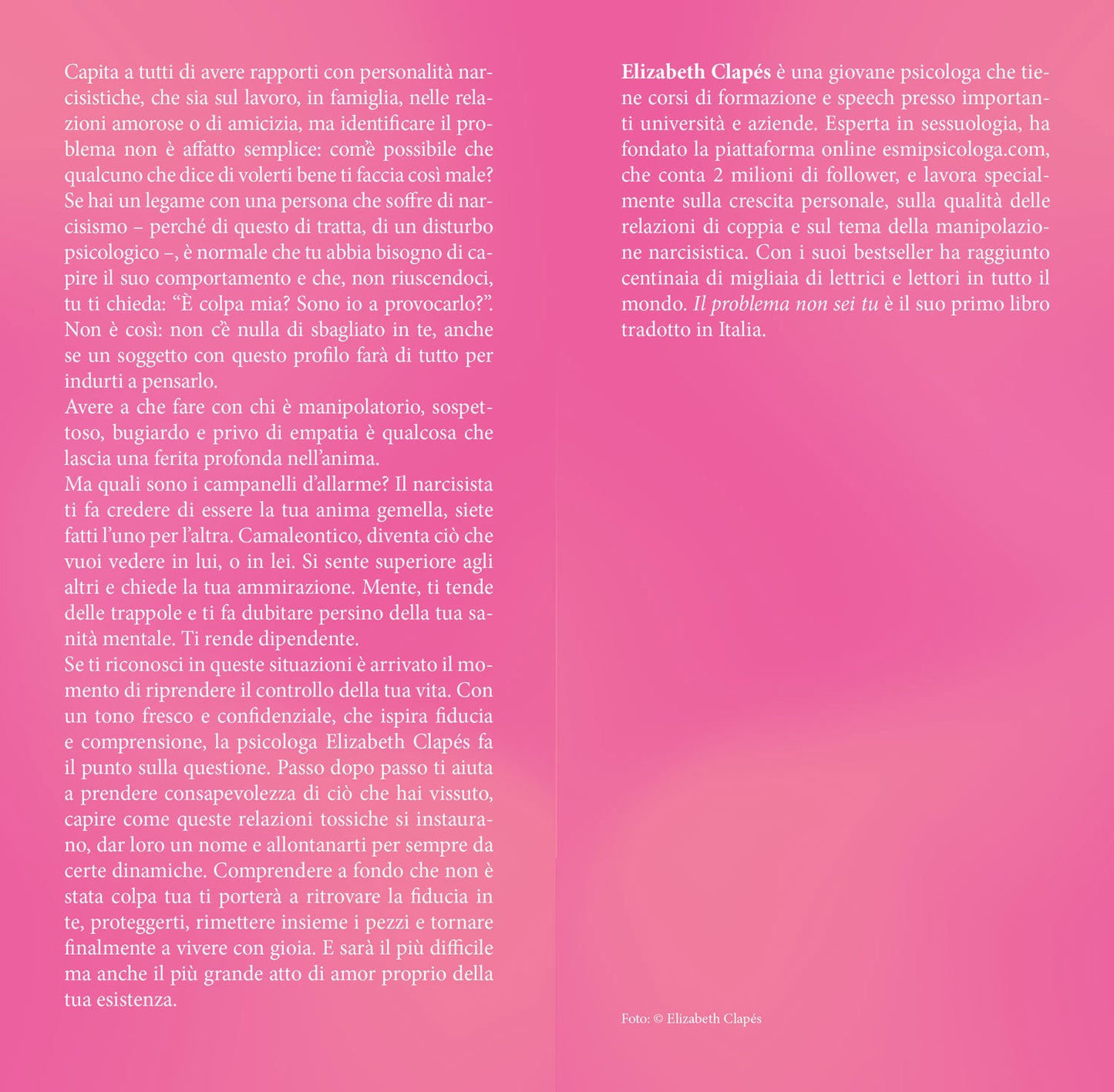 Il problema non sei tu. Capire se stessi e guarire dopo un legame con un narcisista