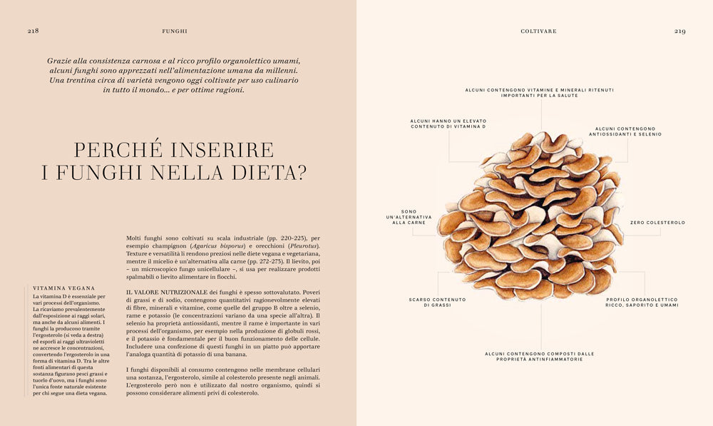 FUNGHI. LA SCIENZA E I SEGRETI DEL REGNO PIU' MISTERIOSO