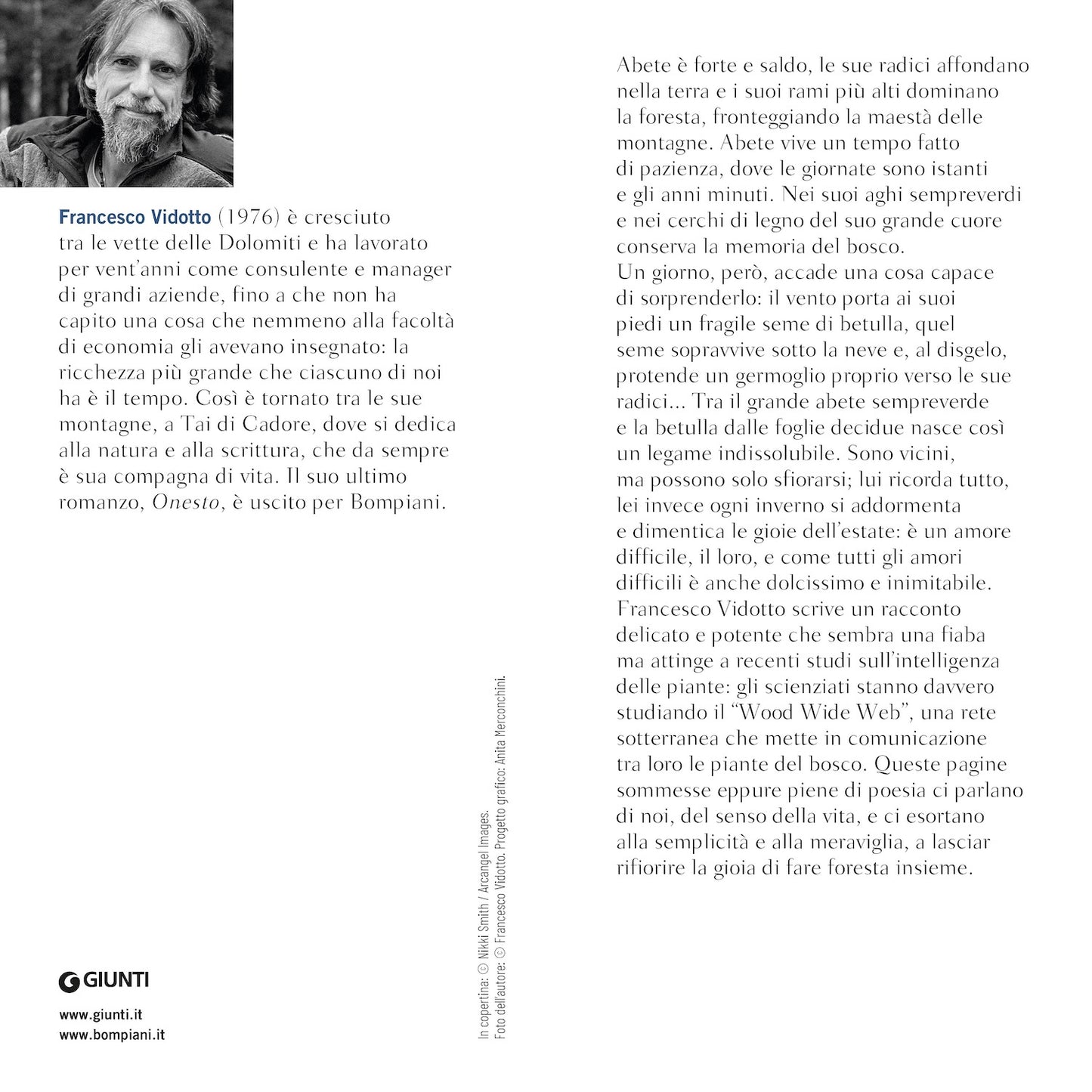 L'abete e la betulla. Storia di amore e di alberi