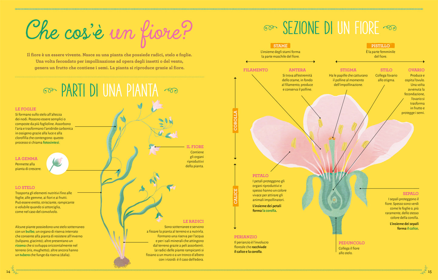 Il super libro della natura. Scoperte – Attività all'aria aperta – Quiz e giochi