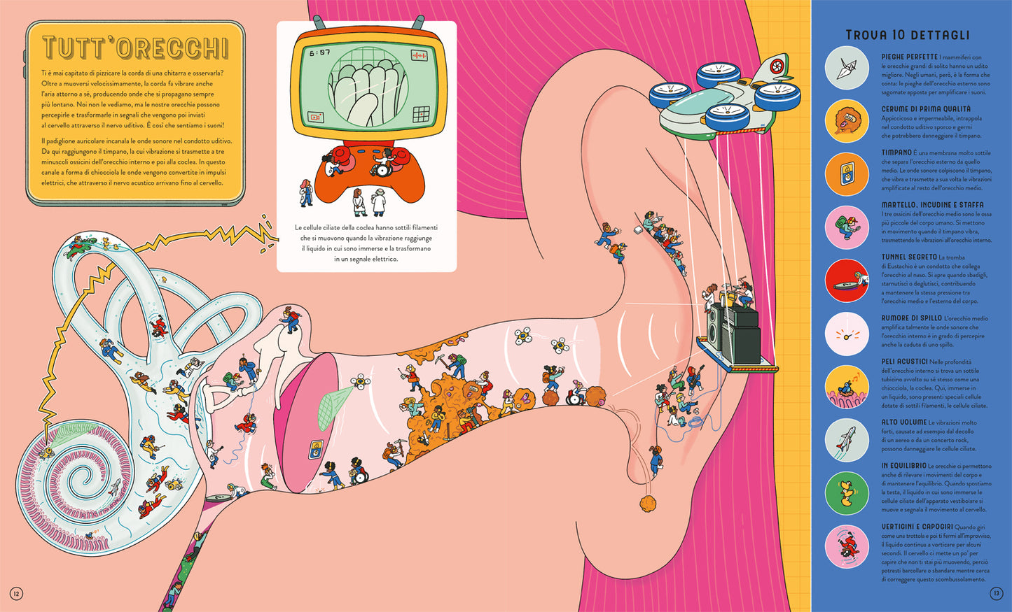 Guarda da vicino il corpo umano. Usa la lente magica per scoprire come siamo fatti