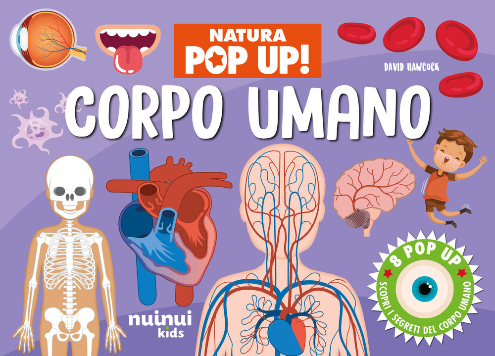 Corpo umano. Natura pop-up!
