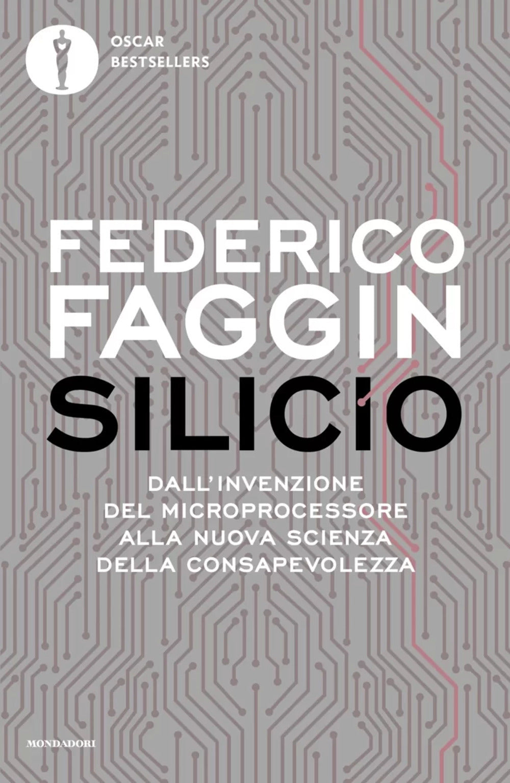 Silicio. Dall'invenzione del microprocessore alla nuova scienza della consapevolezza