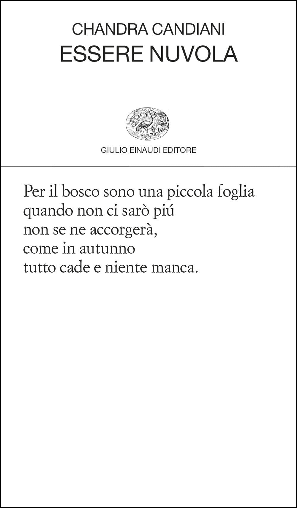 Essere nuvola