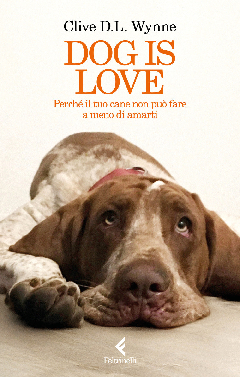 Dog is love. Perché il tuo cane non può fare a meno di amarti