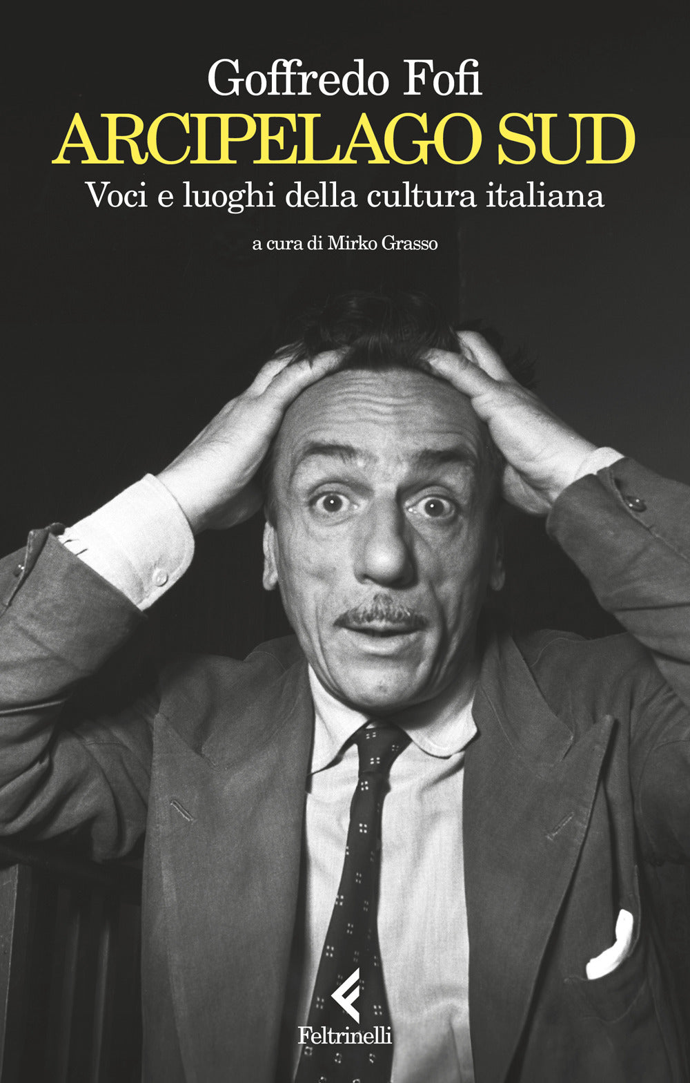 Arcipelago Sud. Voci e luoghi della cultura italiana