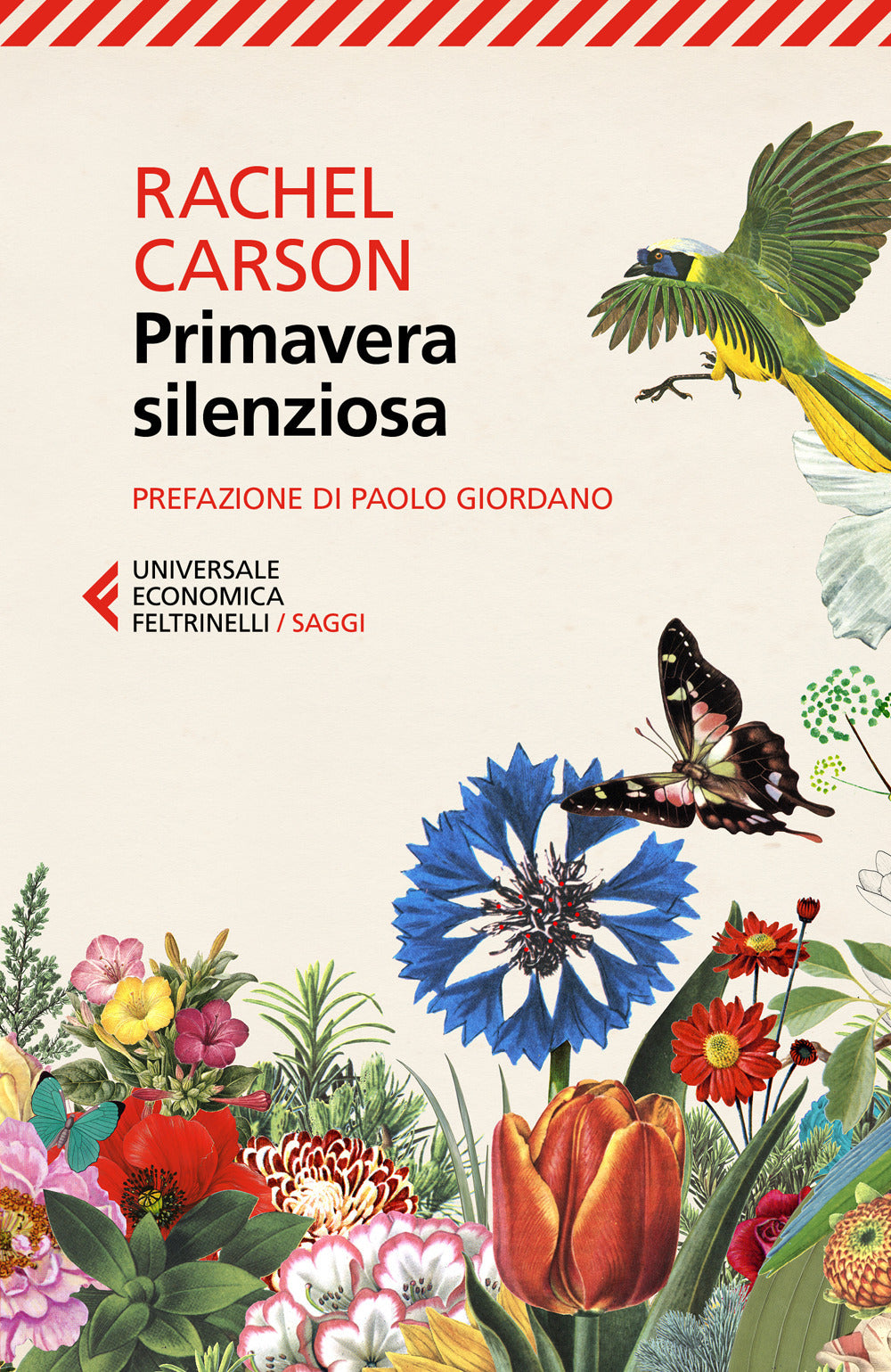 Primavera silenziosa