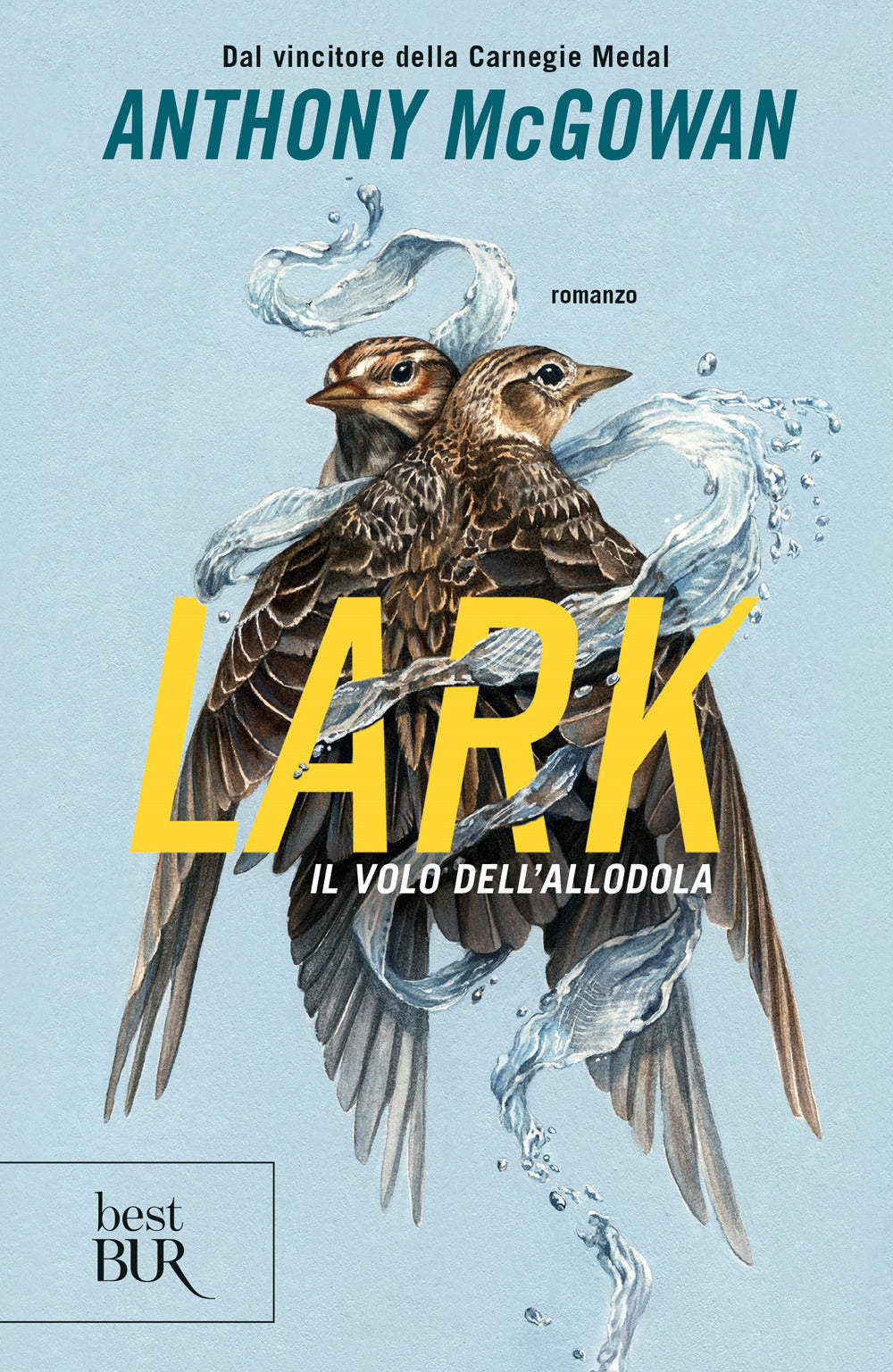 Lark. Il volo dell'allodola