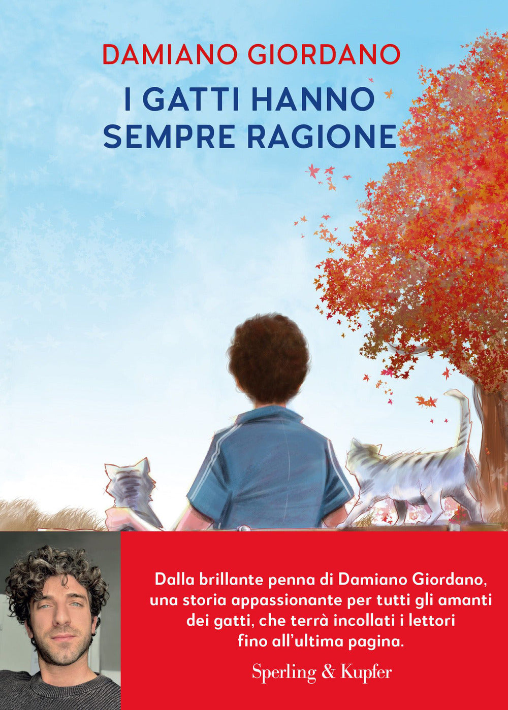 I gatti hanno sempre ragione