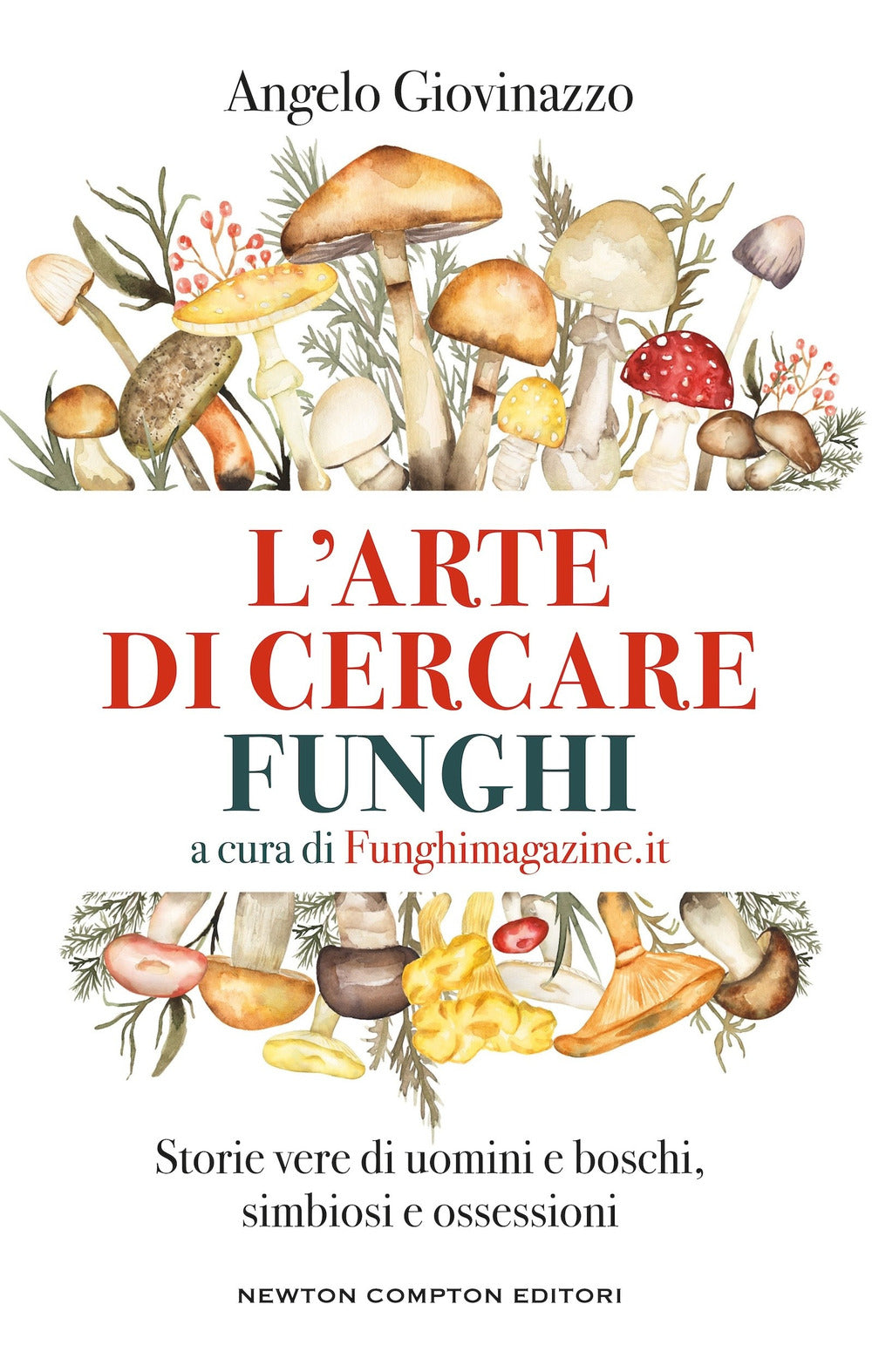 L'arte di cercare funghi