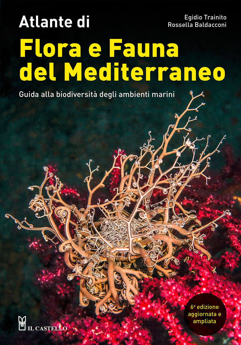 Atlante di flora e fauna del Mediterraneo. Guida alla biodiversità degli ambienti marini. Ediz. a colori