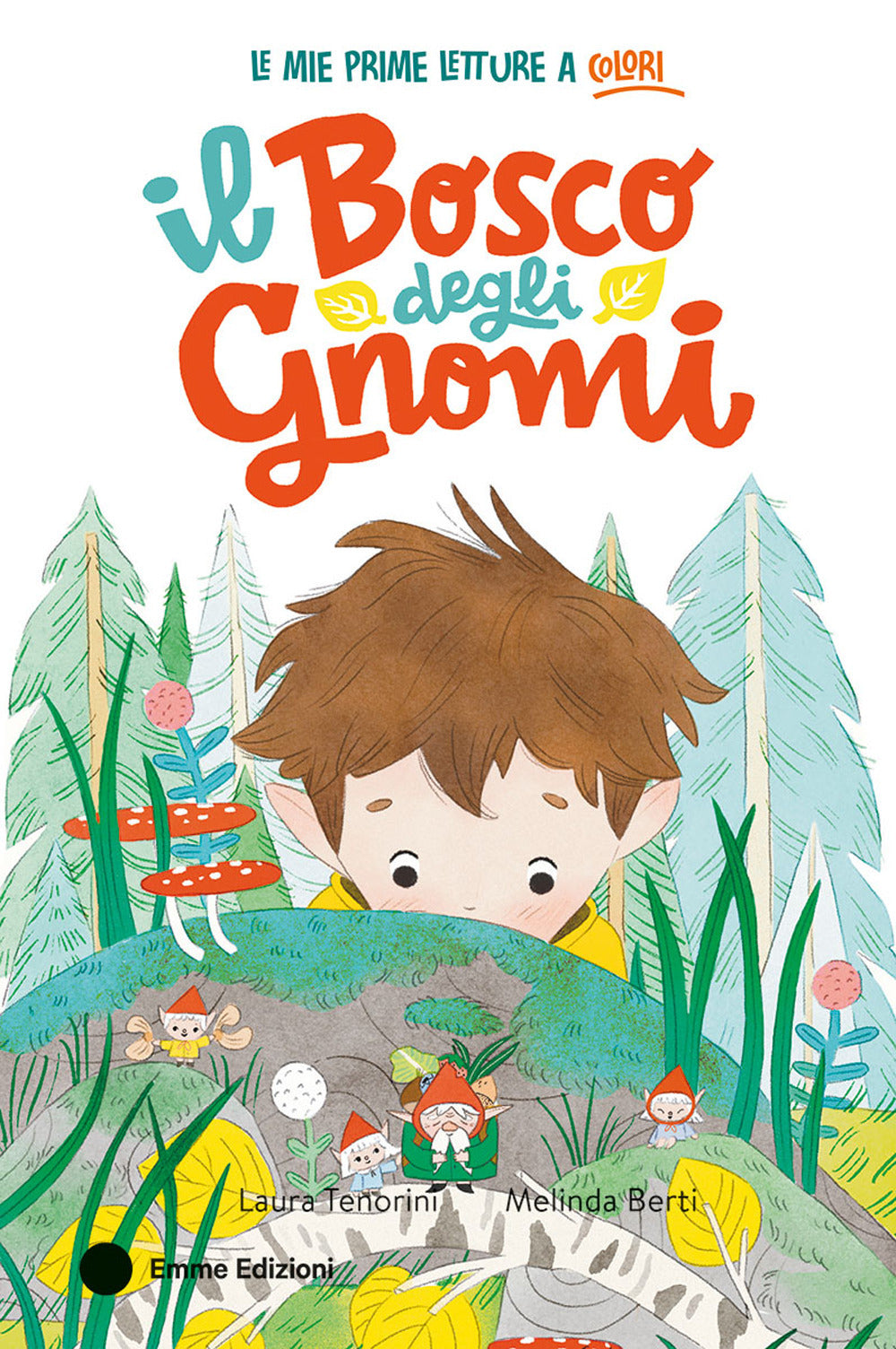 Il bosco degli gnomi