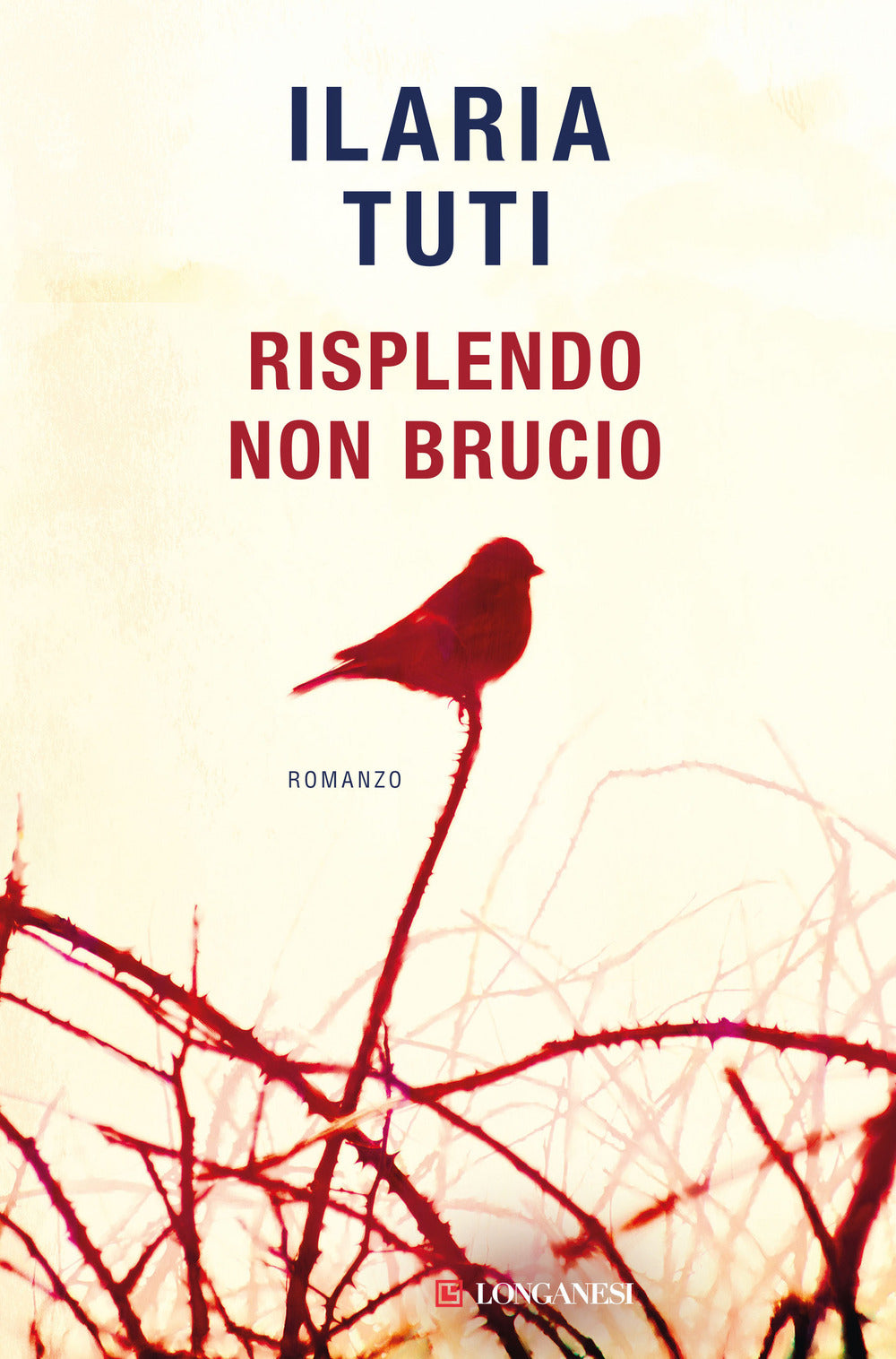 Risplendo non brucio