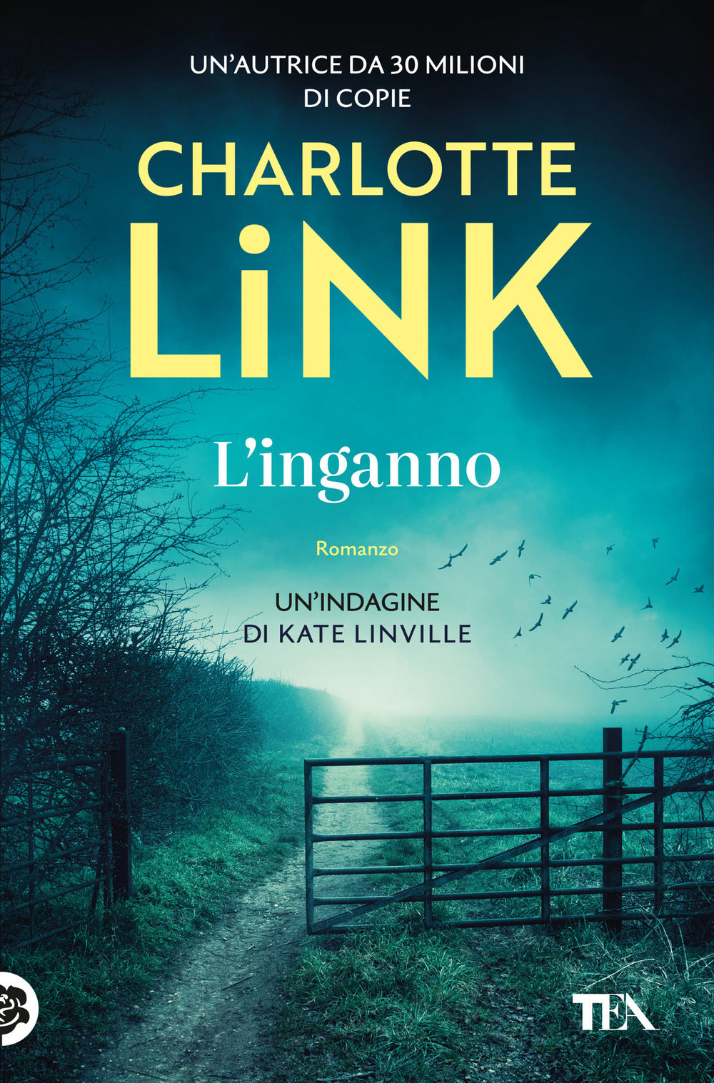 L'inganno. Le indagini di Kate Linville
