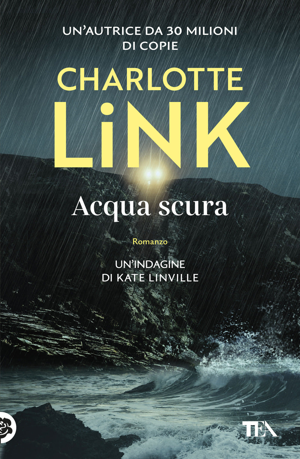 Acqua scura. Le indagini di Kate Linville