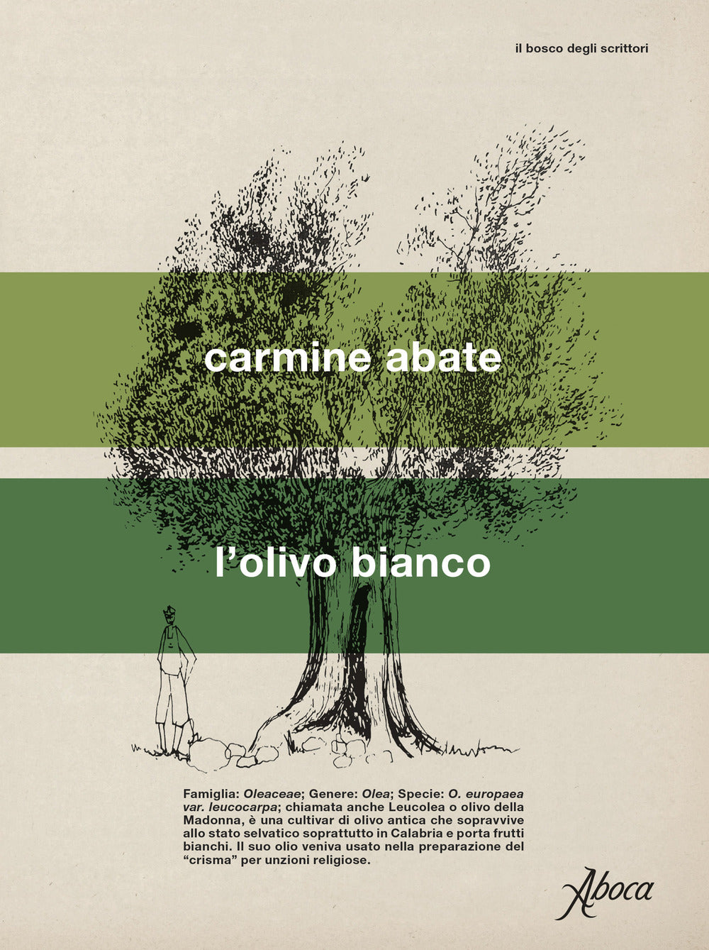 L'olivo bianco