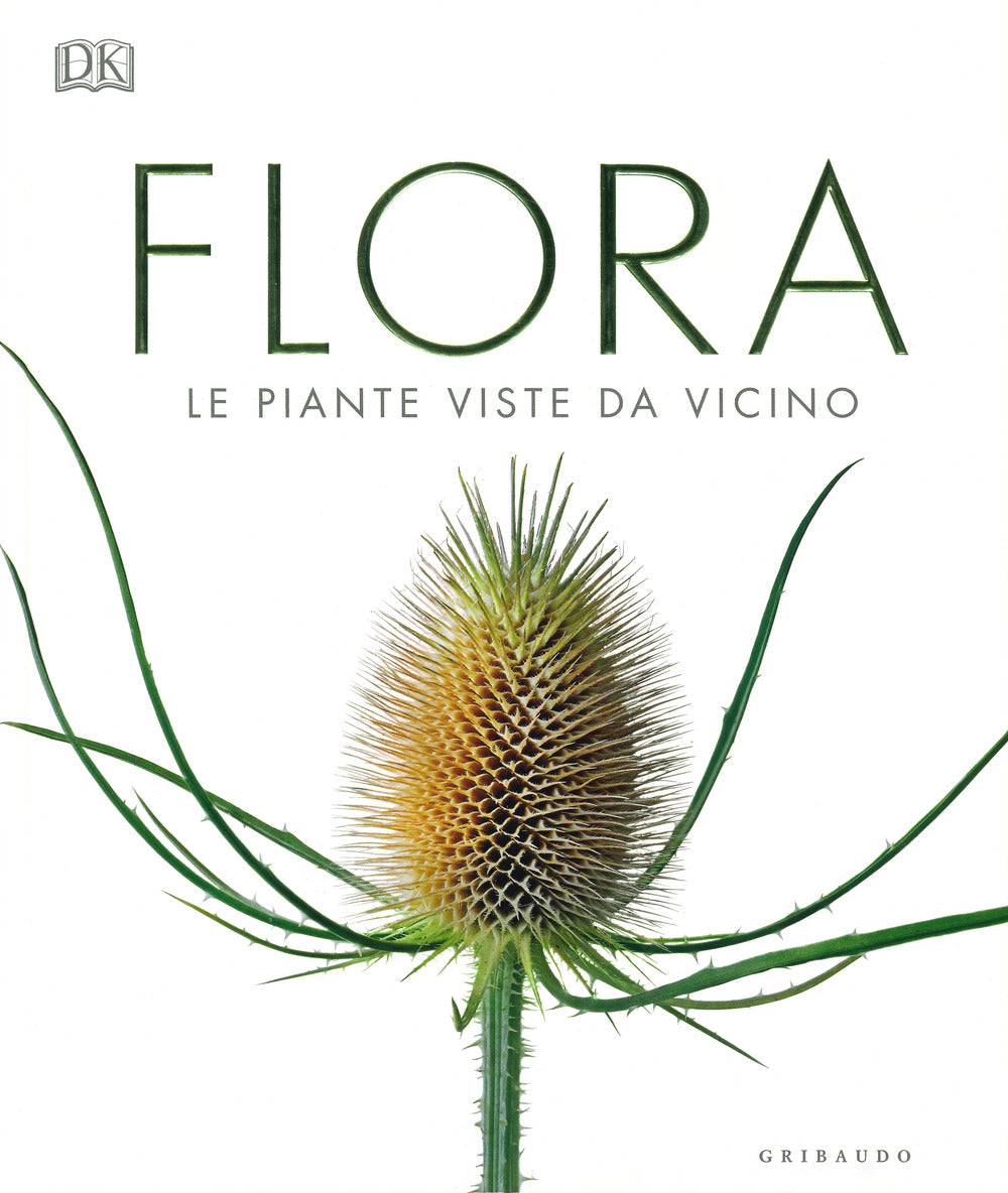 Flora. Le piante viste da vicino. Ediz. a colori