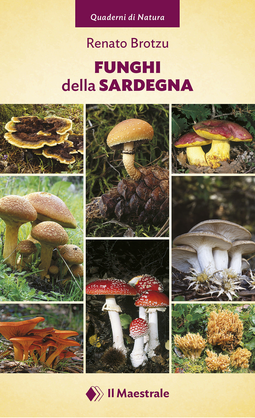 Funghi della Sardegna. Ediz. a colori