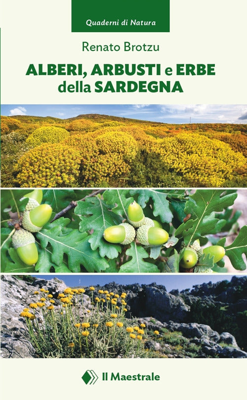 Alberi, arbusti e erbe della Sardegna