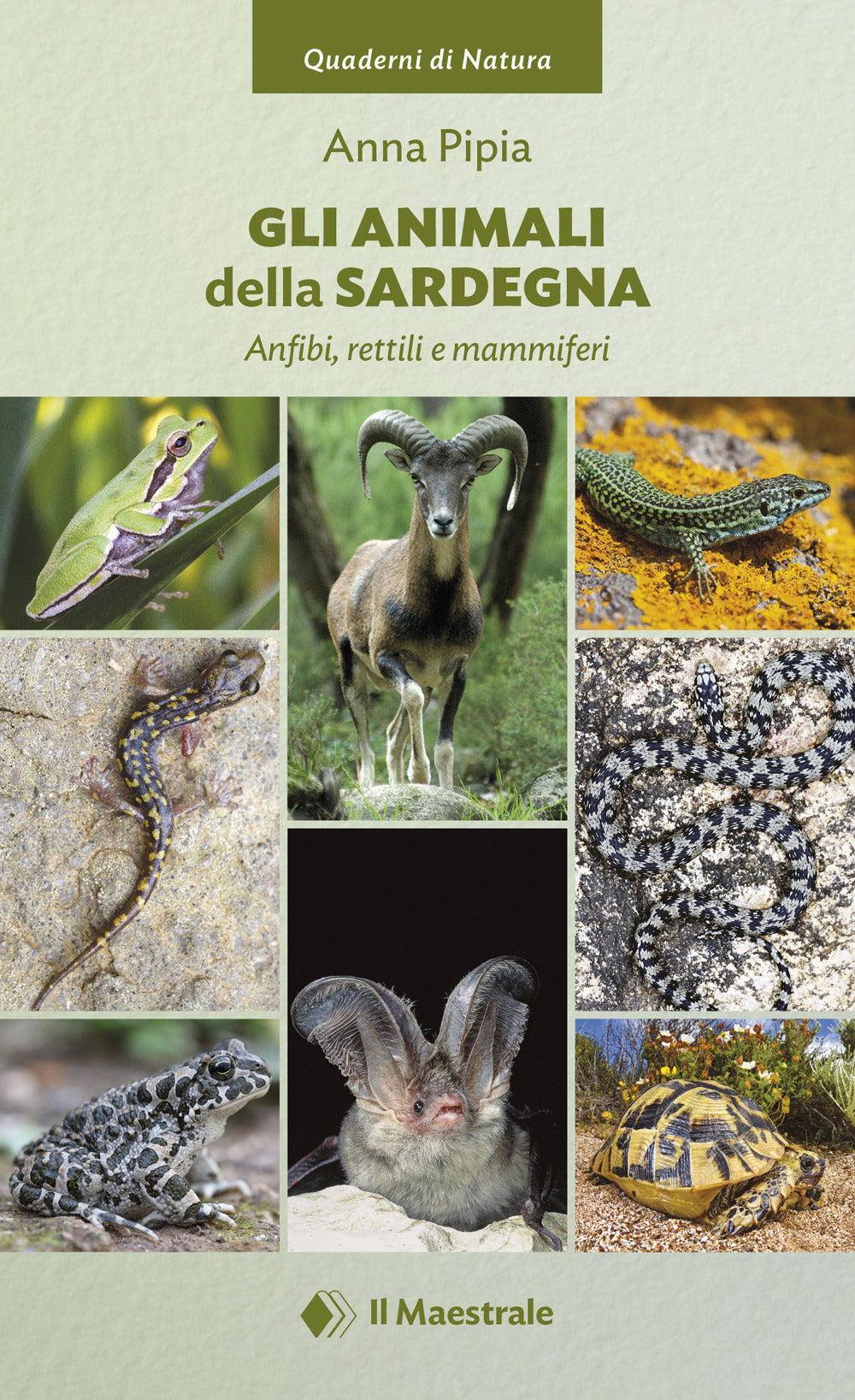 Gli animali della Sardegna