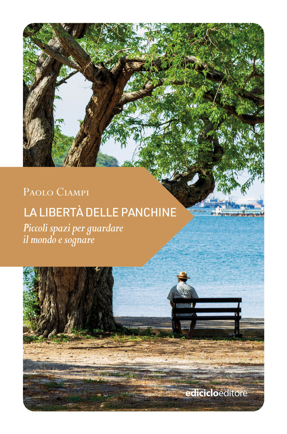 La libertà delle panchine. Piccoli spazi per guardare il mondo e sognare