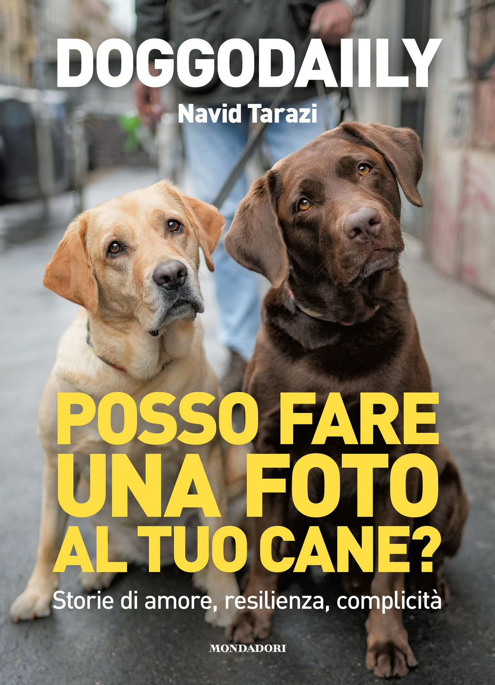 Posso fare una foto al tuo cane? Storie di amore, resilienza, complicità