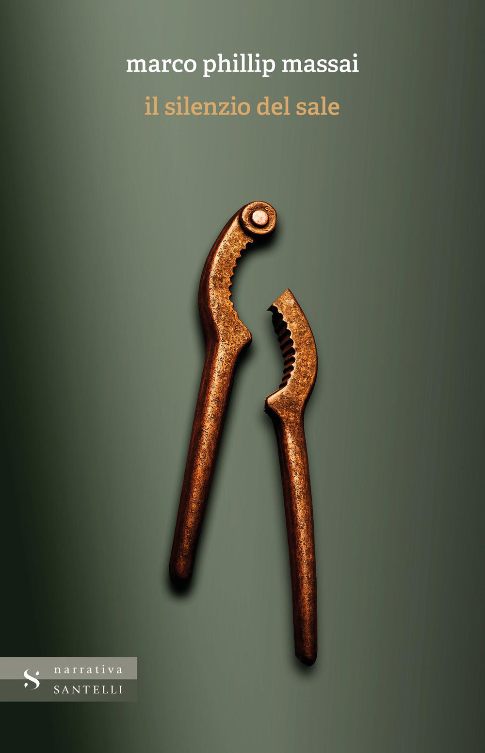 Il silenzio del sale