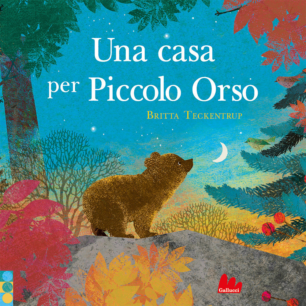 Una casa per piccolo orso. Ediz. a colori