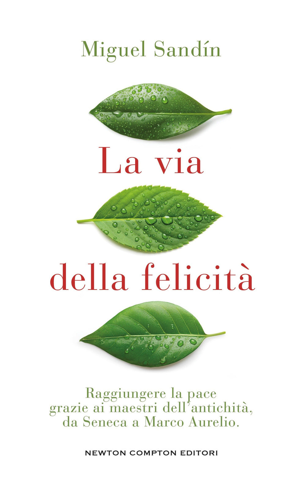La via della felicità. Raggiungere la pace grazie ai maestri dell'antichità, da Seneca a Marco Aurelio