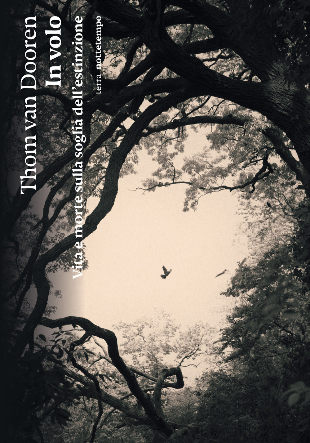 In volo. Vita e morte sulla soglia dell’estinzione