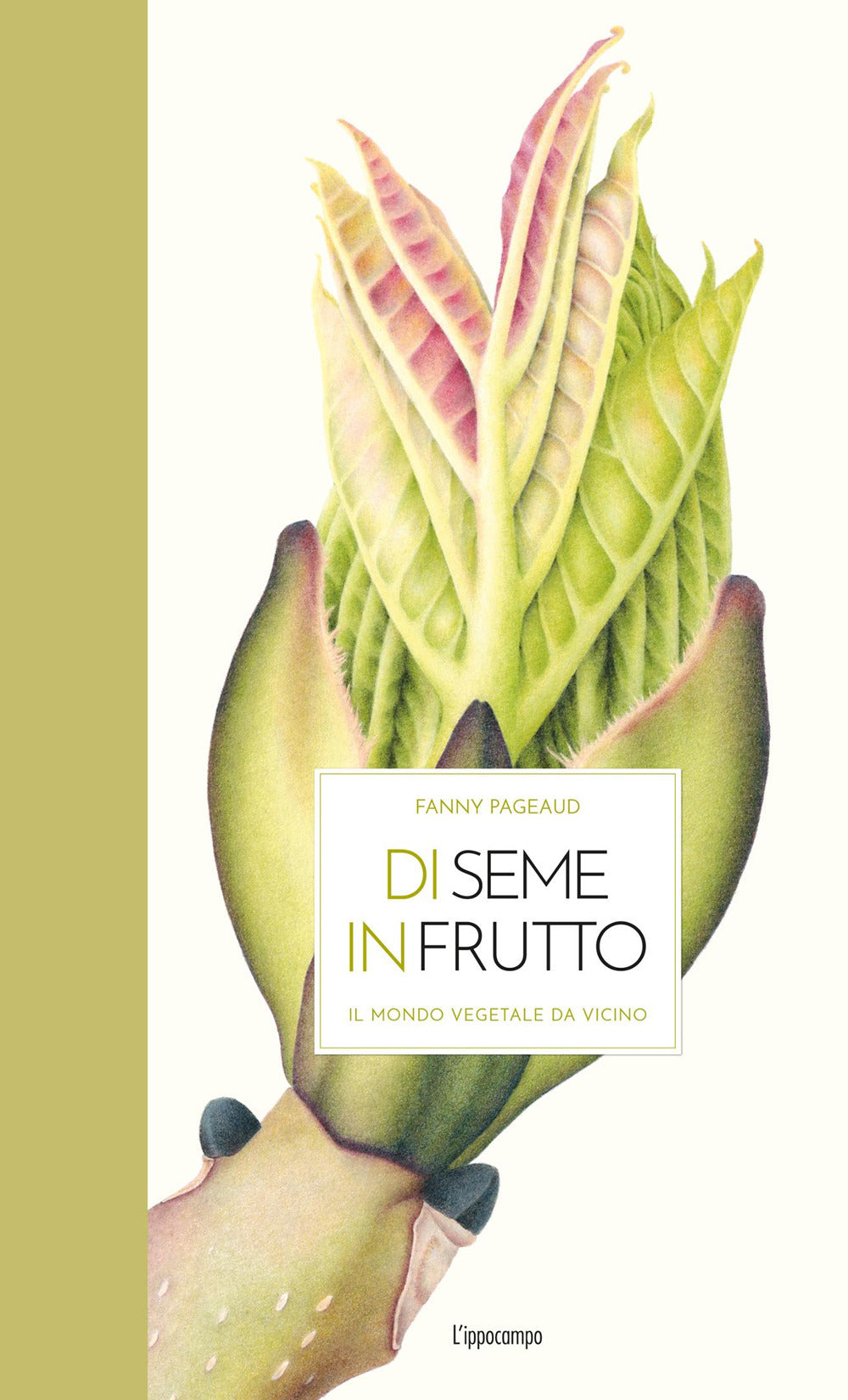 Di seme in frutto. Il mondo vegetale da vicino