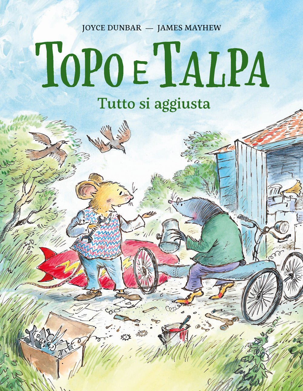 Topo e talpa. Tutto si aggiusta. Ediz. a colori