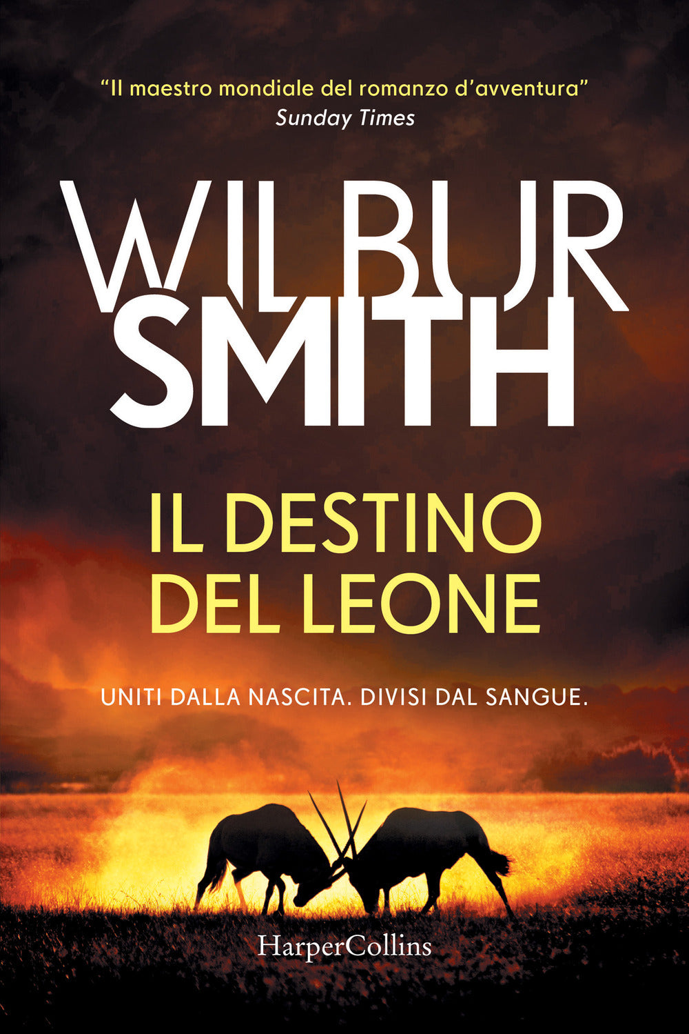 Il destino del leone