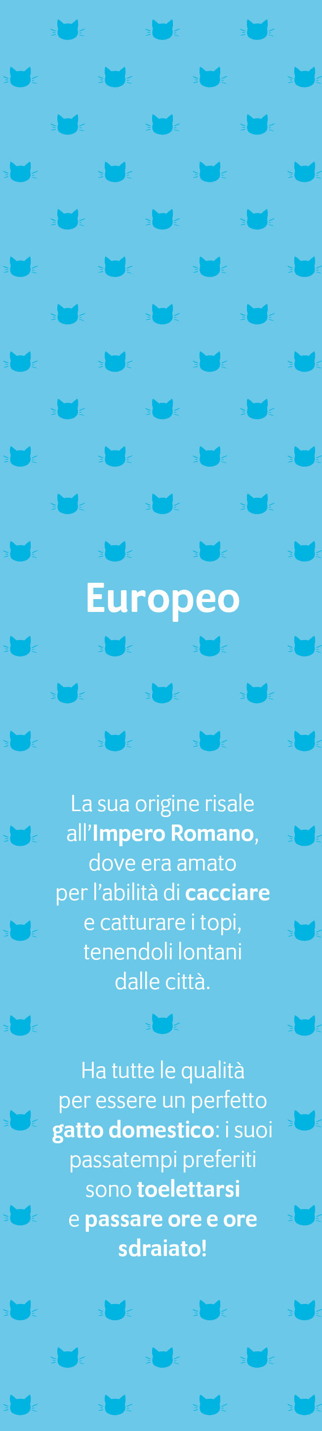 CALENDARIO GATTI CURIOSI 2026 segnalibro (5,5 X 24,5 cm)